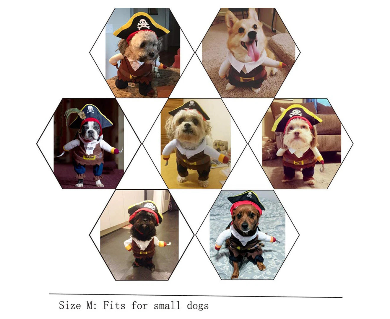 The Dog Turns into a Pirate Costume New Halloween Pet Costumes